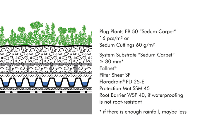 System build-up "Sedum Carpet"